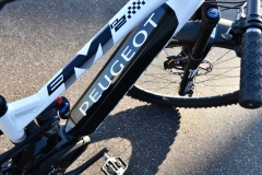 Peugeot_Cycles_Team_eM02_FS_006