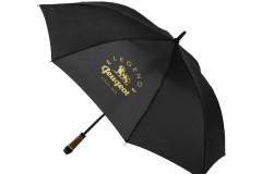 Umbrella_LEGEND