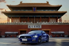ford-mustang_100552507_l