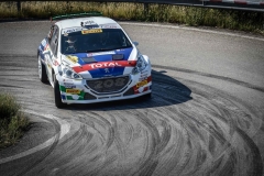 peugeot_208_t16_paolo_andreucci_rally_elba_01