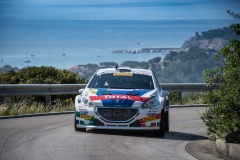 peugeot_208_t16_paolo_andreucci_rally_elba_03