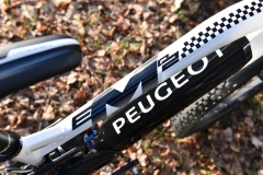Peugeot_Cycles_Team_eM02_FS_008