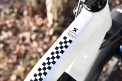 Peugeot_Cycles_Team_eM02_FS_010