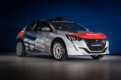 Peugeot-208-Rally-4-01