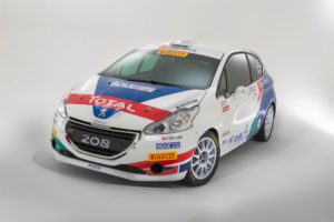 Peugeot Rally Il Ciocco