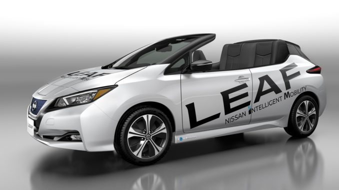 Nissan Leaf Open Air