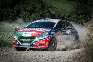 Peugeot Competition Cup 208