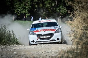 Peugeot Competition Cup 208