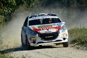 Peugeot Competition Top 208