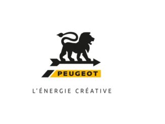 Peugeot Energyhub utensili