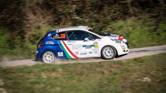 Peugeot 208 R2B Rally Ciocco