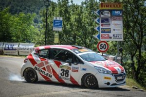 Peugeot Competition 208 Rally Cup PRO