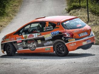 Peugeot Competition 208 Rally Cup TOP 2019