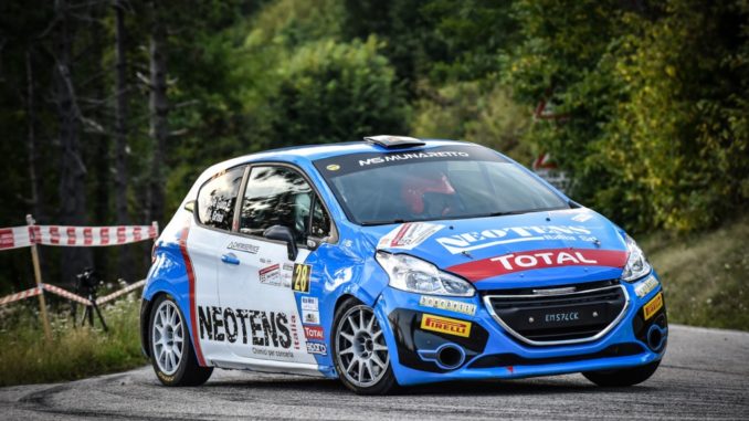 Peugeot Competition 208 Rally Cup Top