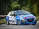 Peugeot Competition 208 Rally Cup Top