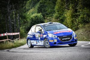 Peugeot Competition 208 Rally Cup TOP 2019.