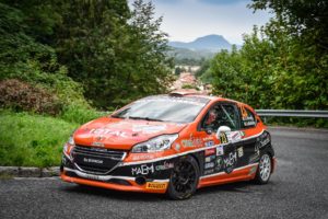 Peugeot Competition 208 Rally Cup TOP 2019.