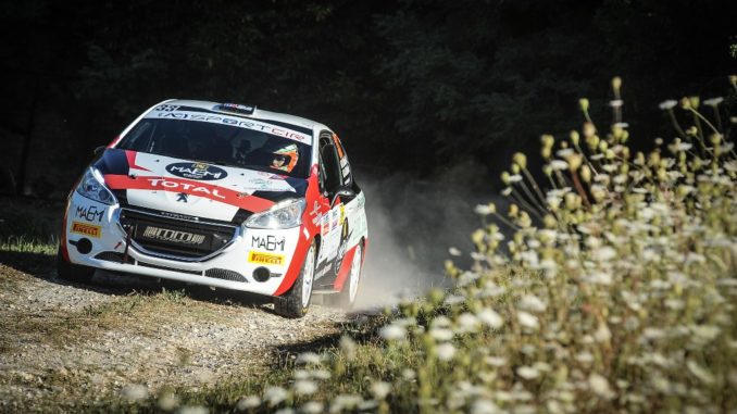 Peugeot Competition 208 Rally Cup Top 2020