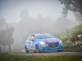 Peugeot Competition 208 Rally Cup Top 2020. Bis di Alessandro Casella al Rally Due Valli