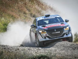 La carica dei 101 Leoni del Peugeot Competition 2021