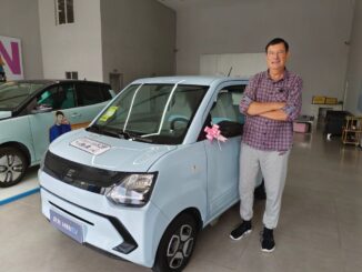Dongfeng Mini EV