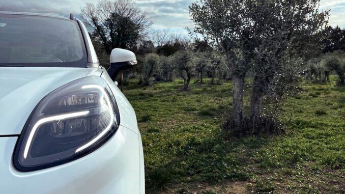 Auto del futuro dagli scarti della raccolta delle olive