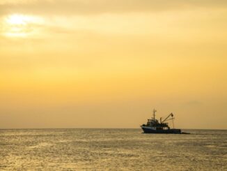 Progetto 3EFishing per la pesca a propulsione elettrica nell’Adriatico